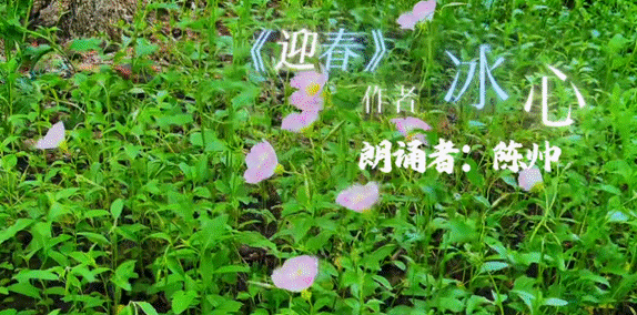 image001.gif